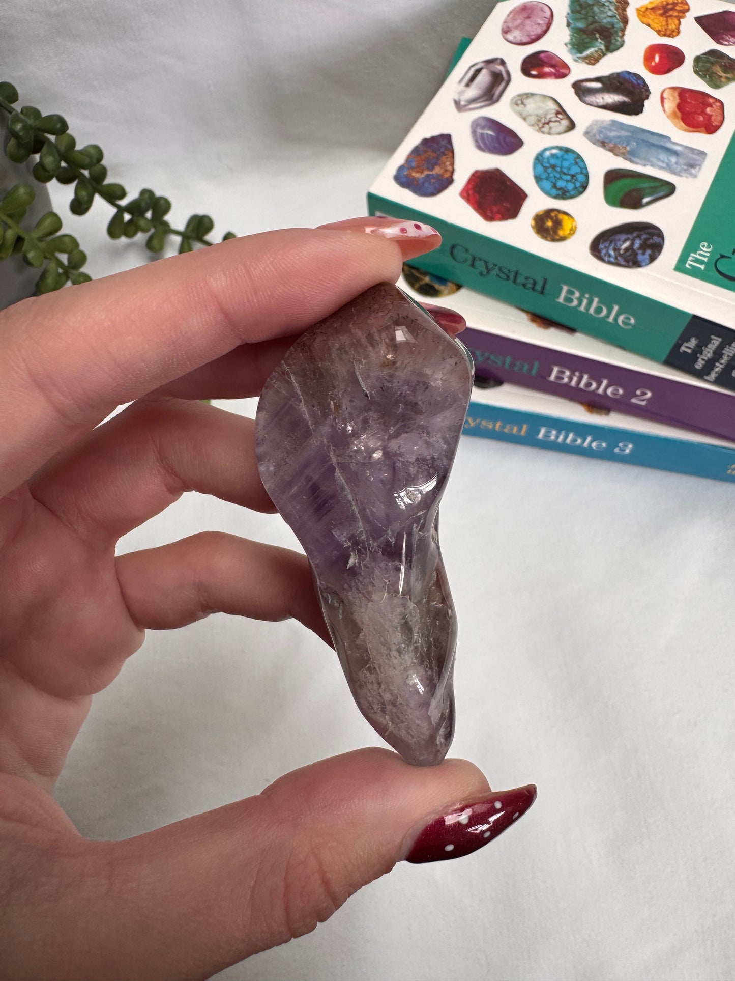 Amethyst Polished Root | Rehomed
