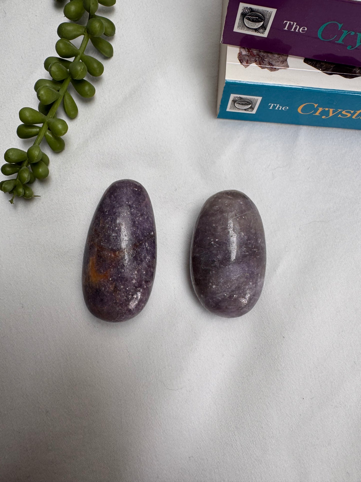 Lepidolite Palmstones | Rehomed