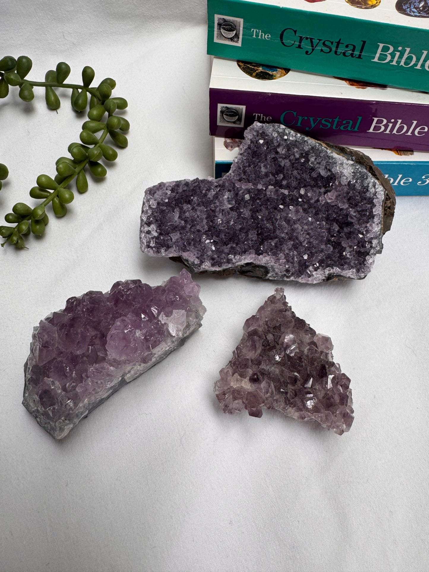 Amethyst Clusters | Rehomed