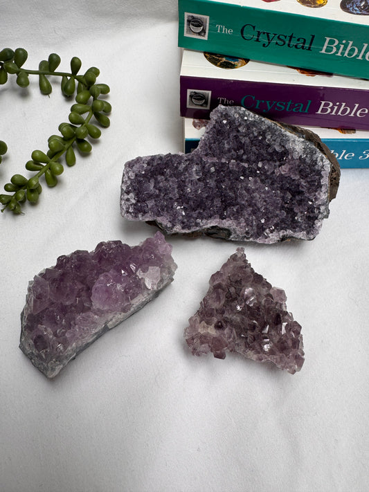 Amethyst Clusters | Rehomed