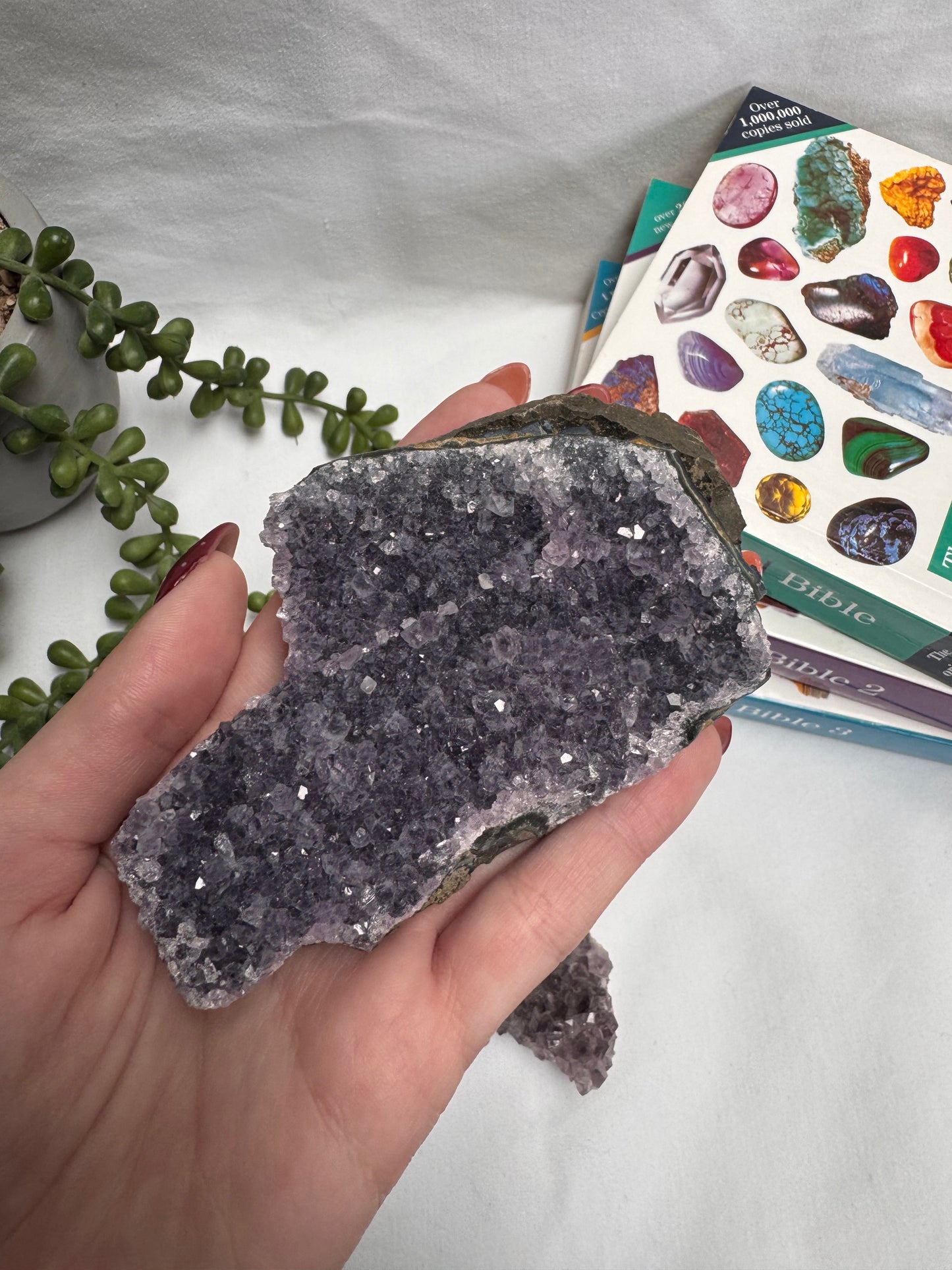Amethyst Clusters | Rehomed