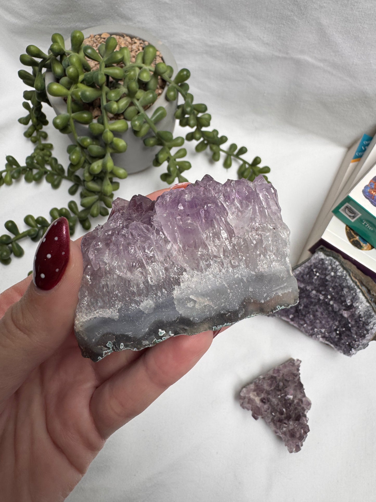 Amethyst Clusters | Rehomed