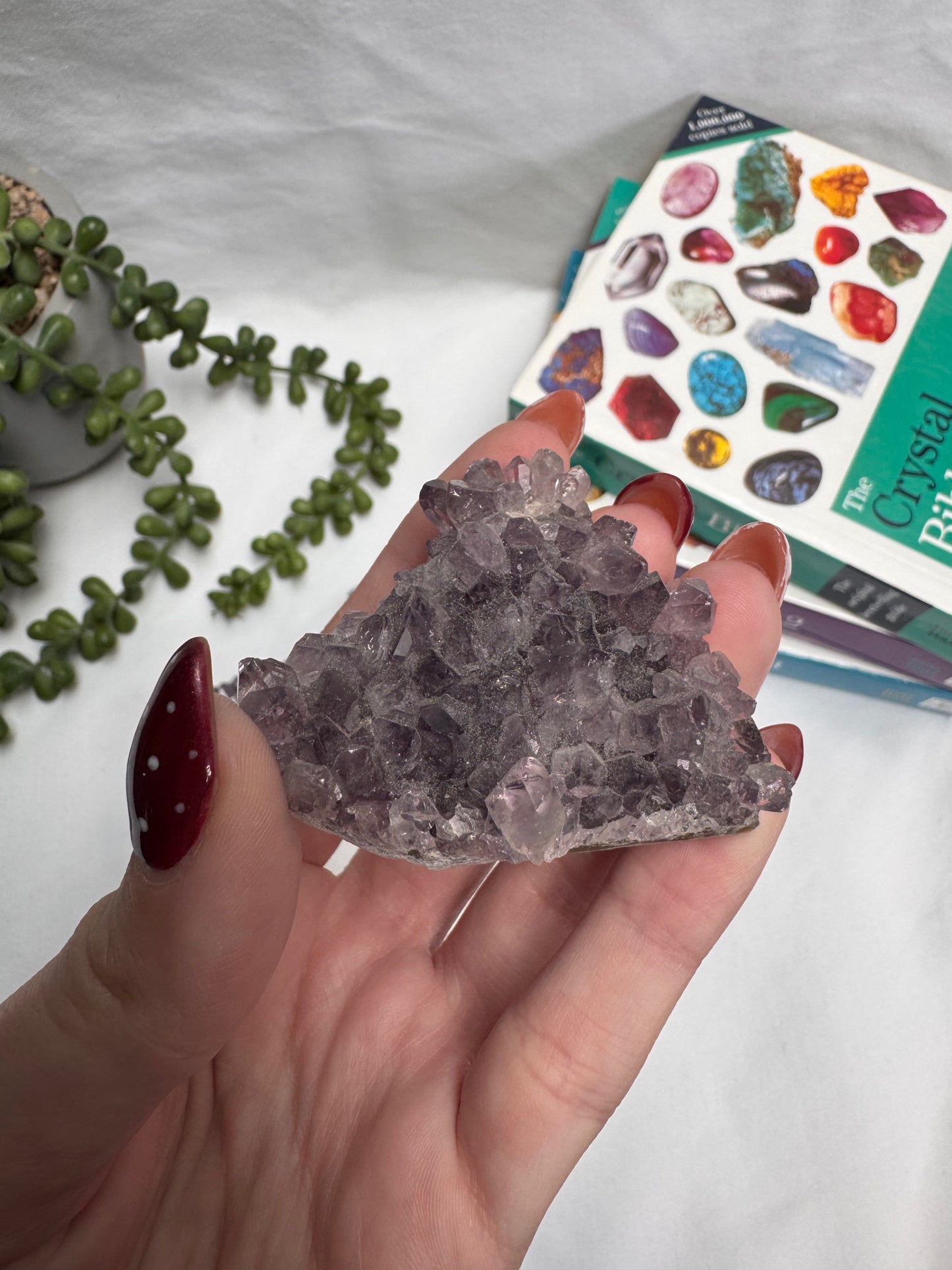 Amethyst Clusters | Rehomed