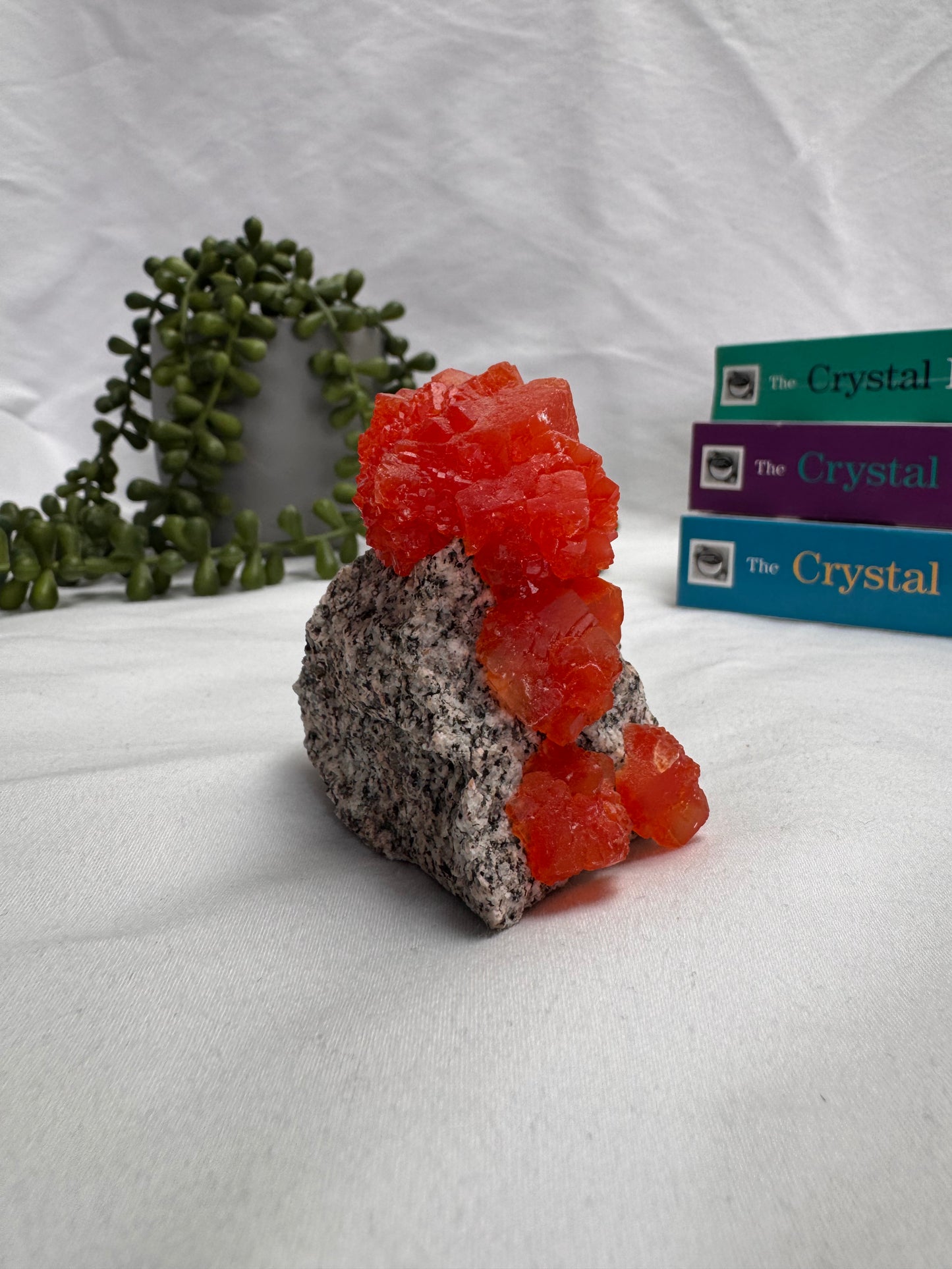 Phokenite Specimen | Lab-Grown Crystal | Rehomed