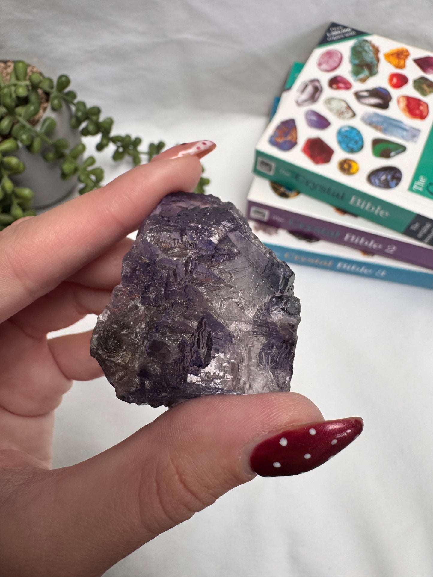 Raw Fluorite Chunk | Rehomed
