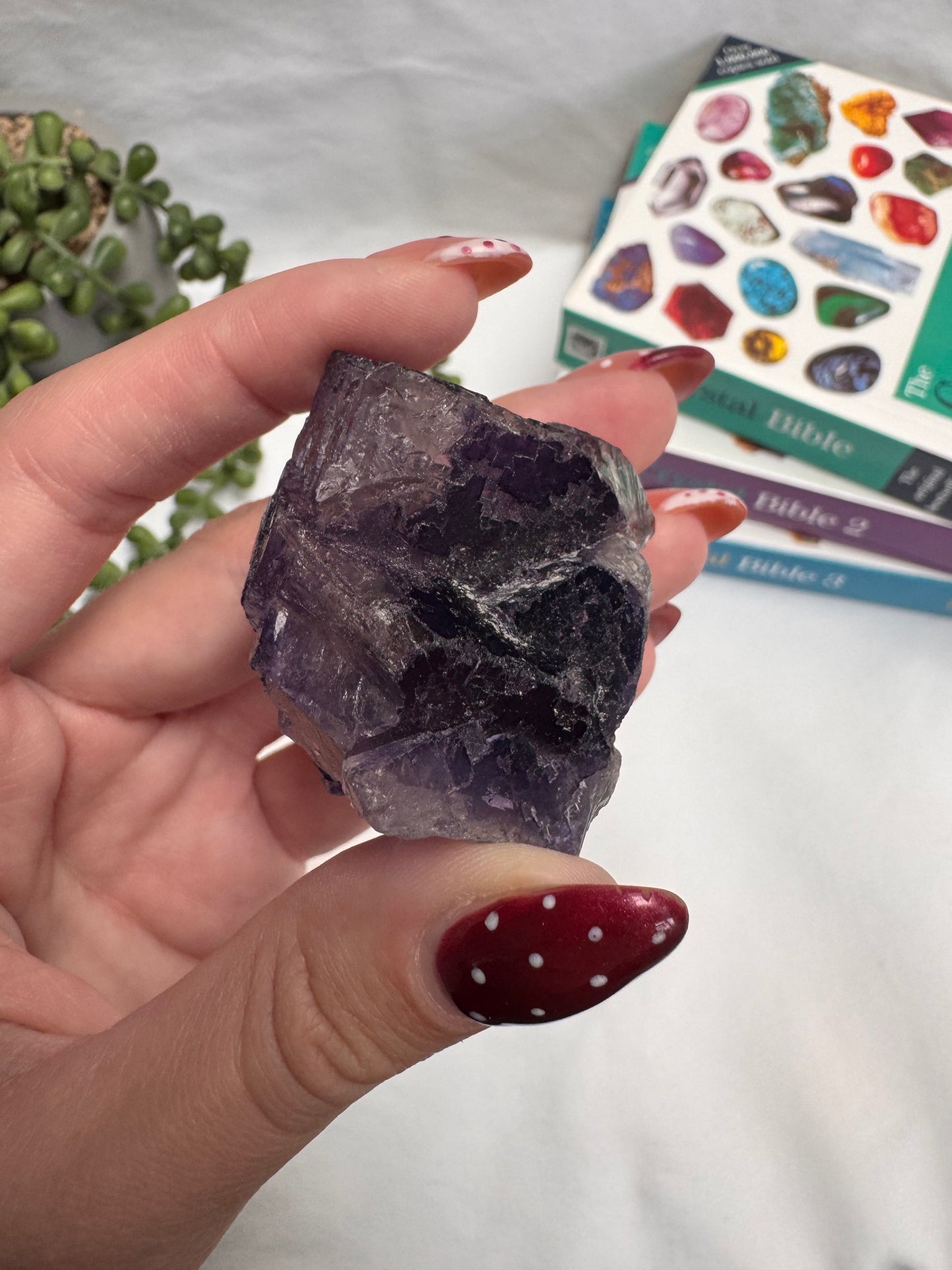 Raw Fluorite Chunk | Rehomed