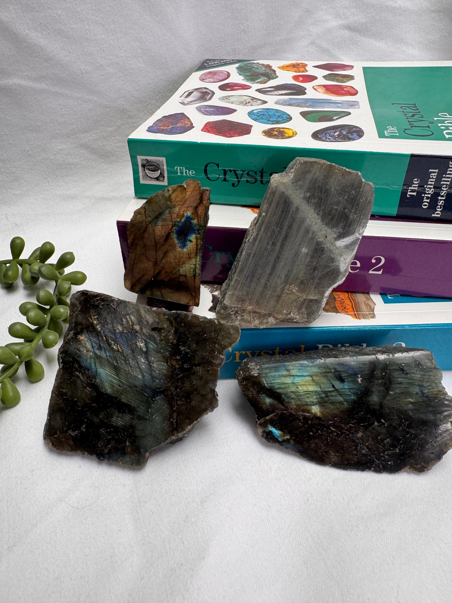 Labradorite 1/2 Polished Pieces | Rehomed