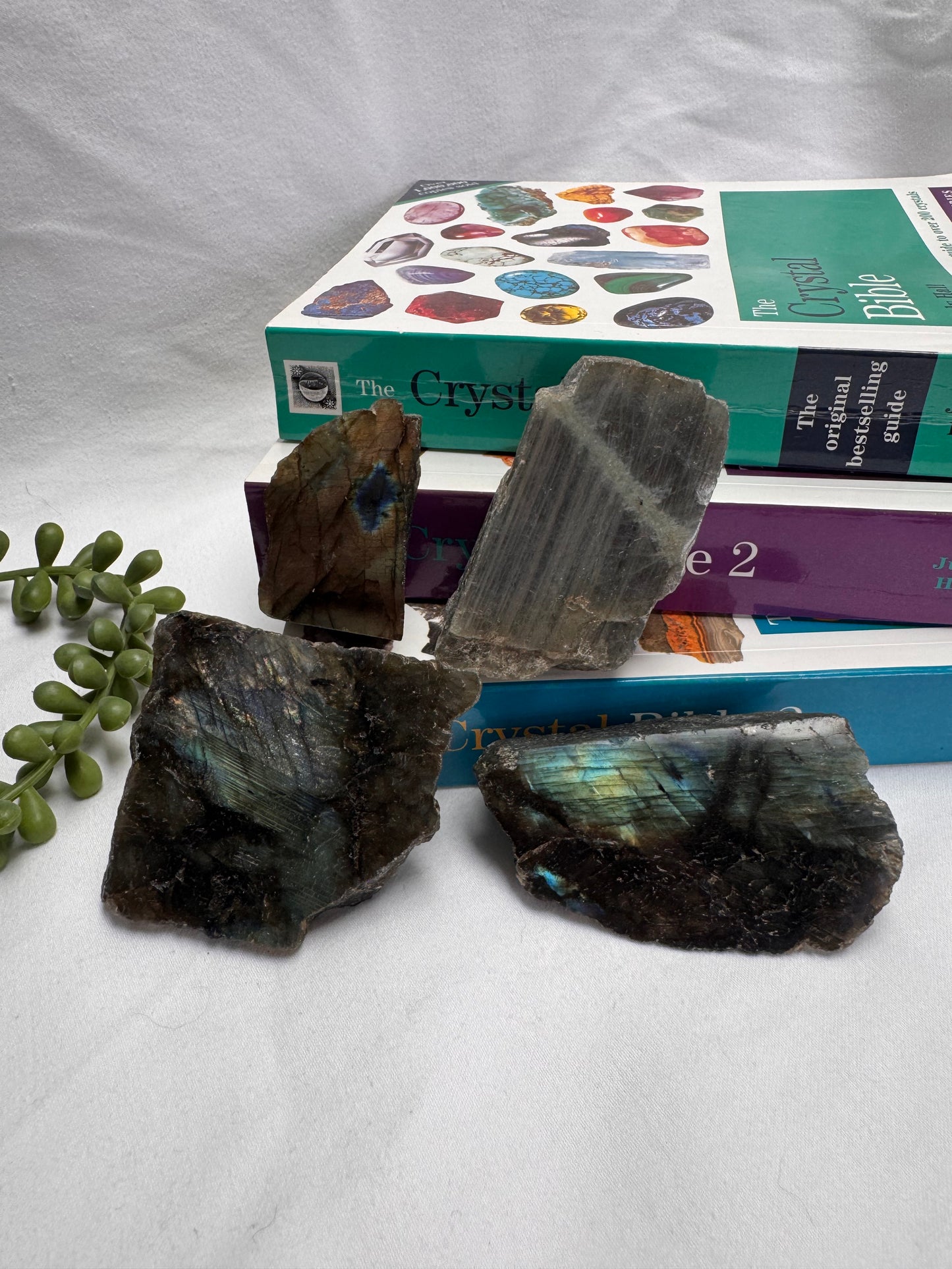 Labradorite 1/2 Polished Pieces | Rehomed