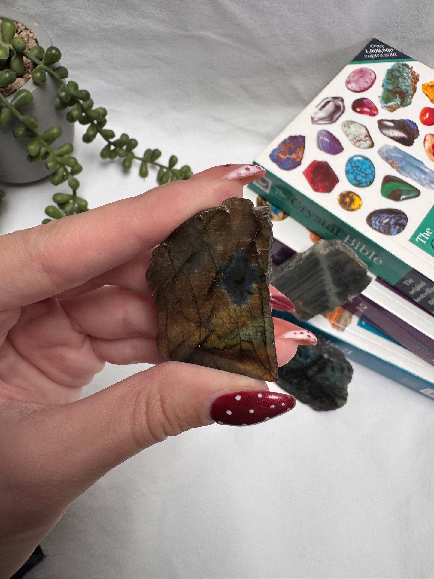 Labradorite 1/2 Polished Pieces | Rehomed
