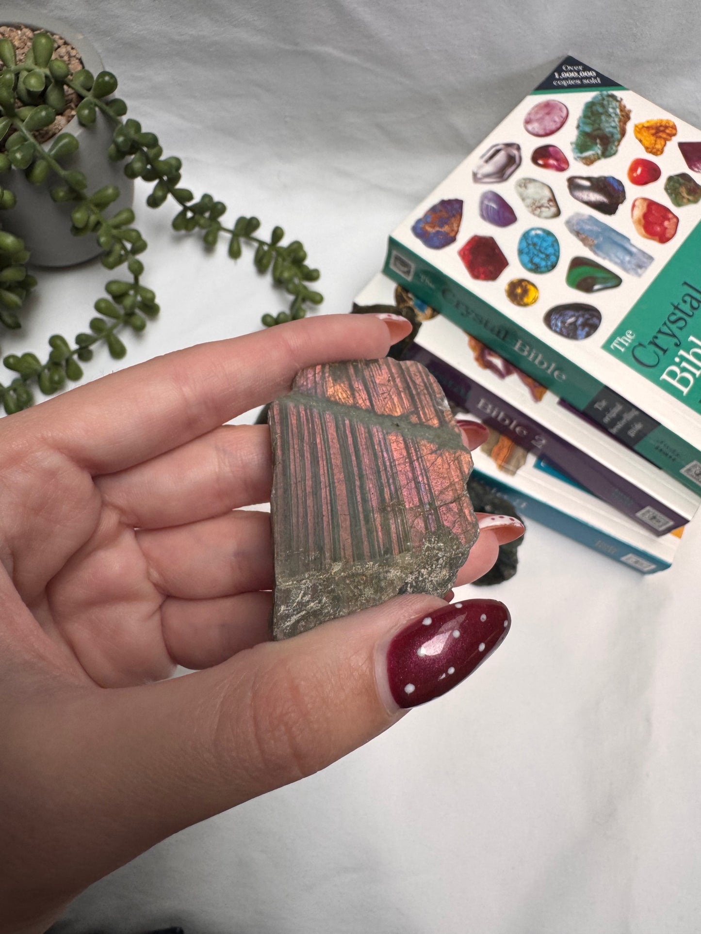 Labradorite 1/2 Polished Pieces | Rehomed