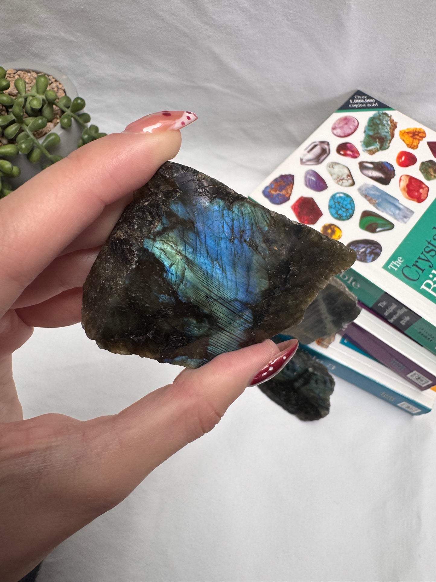 Labradorite 1/2 Polished Pieces | Rehomed