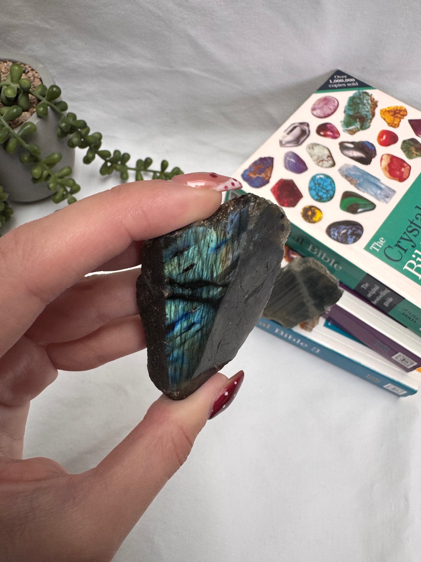 Labradorite 1/2 Polished Pieces | Rehomed
