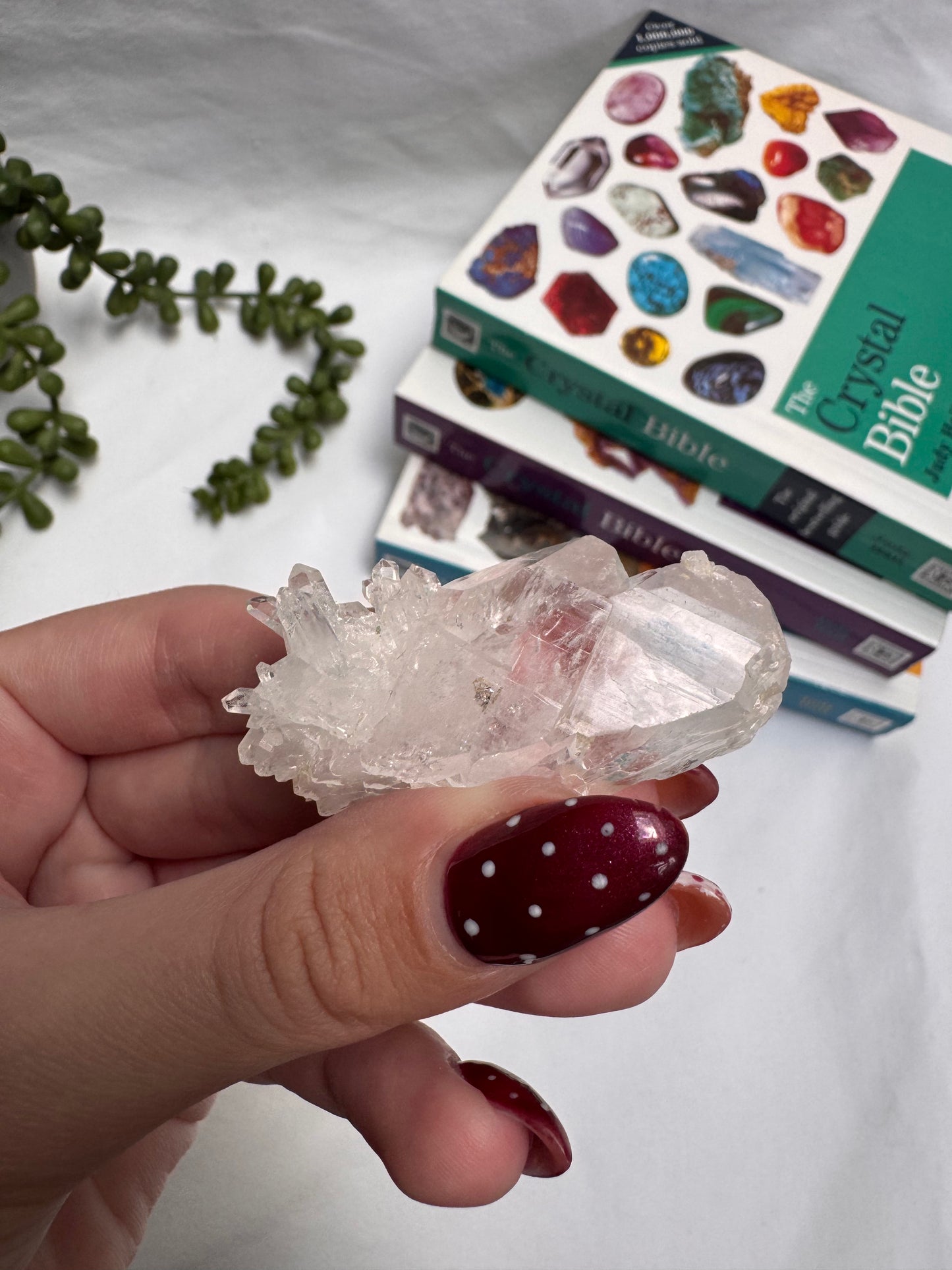 Clear Quartz Cluster | Rehomed