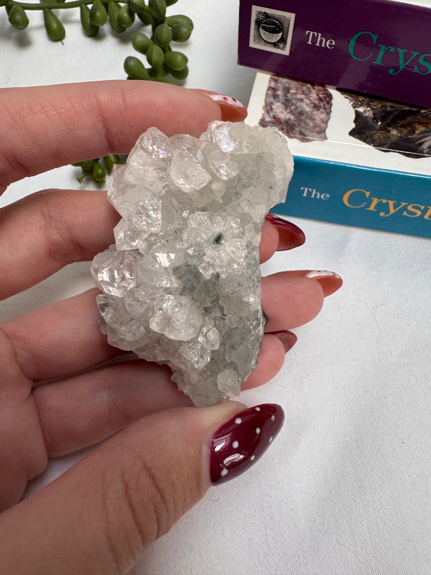 Apophyllite Cluster | Rehomed