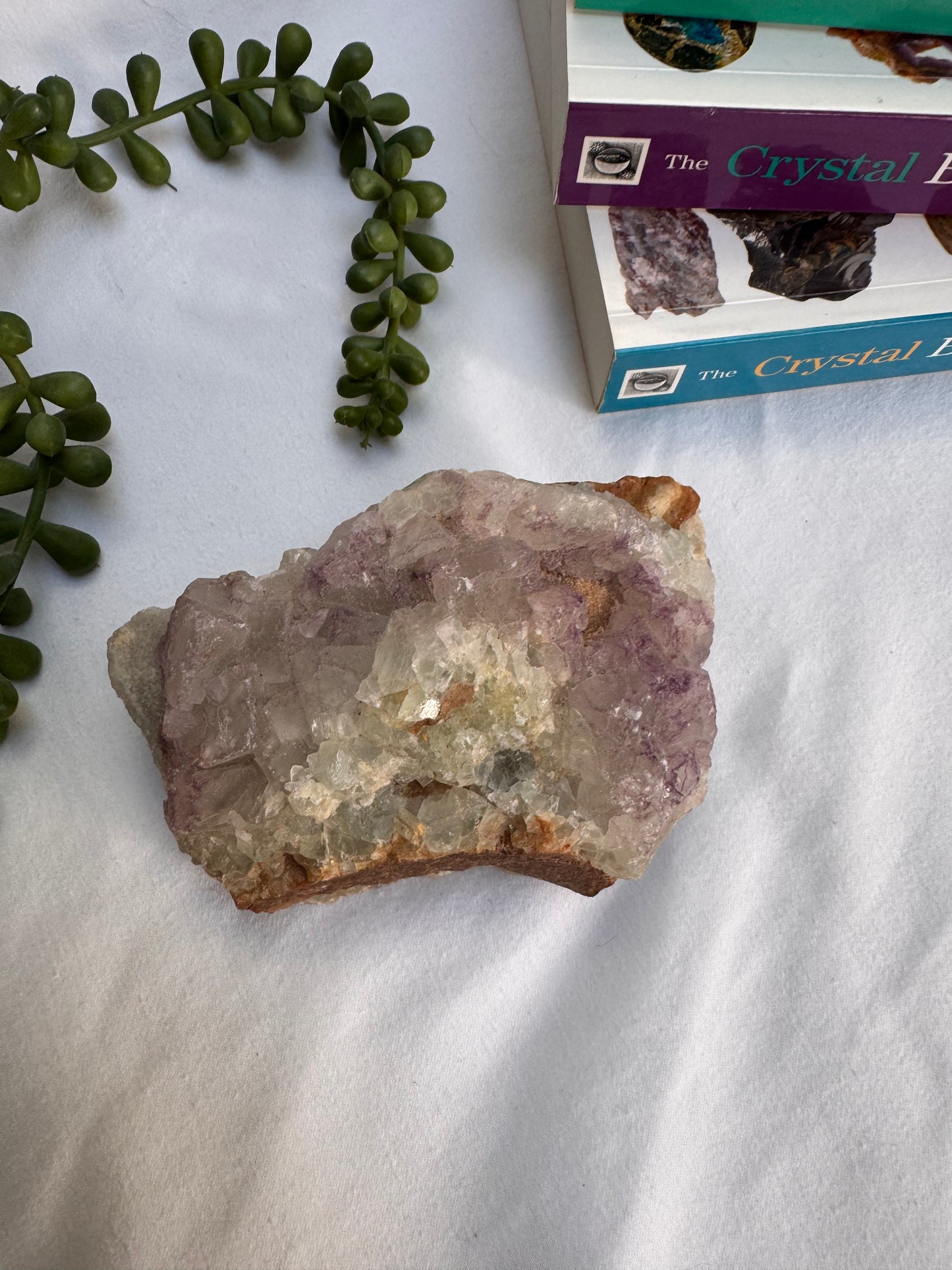 Fluorite Raw Chunk | Rehomed
