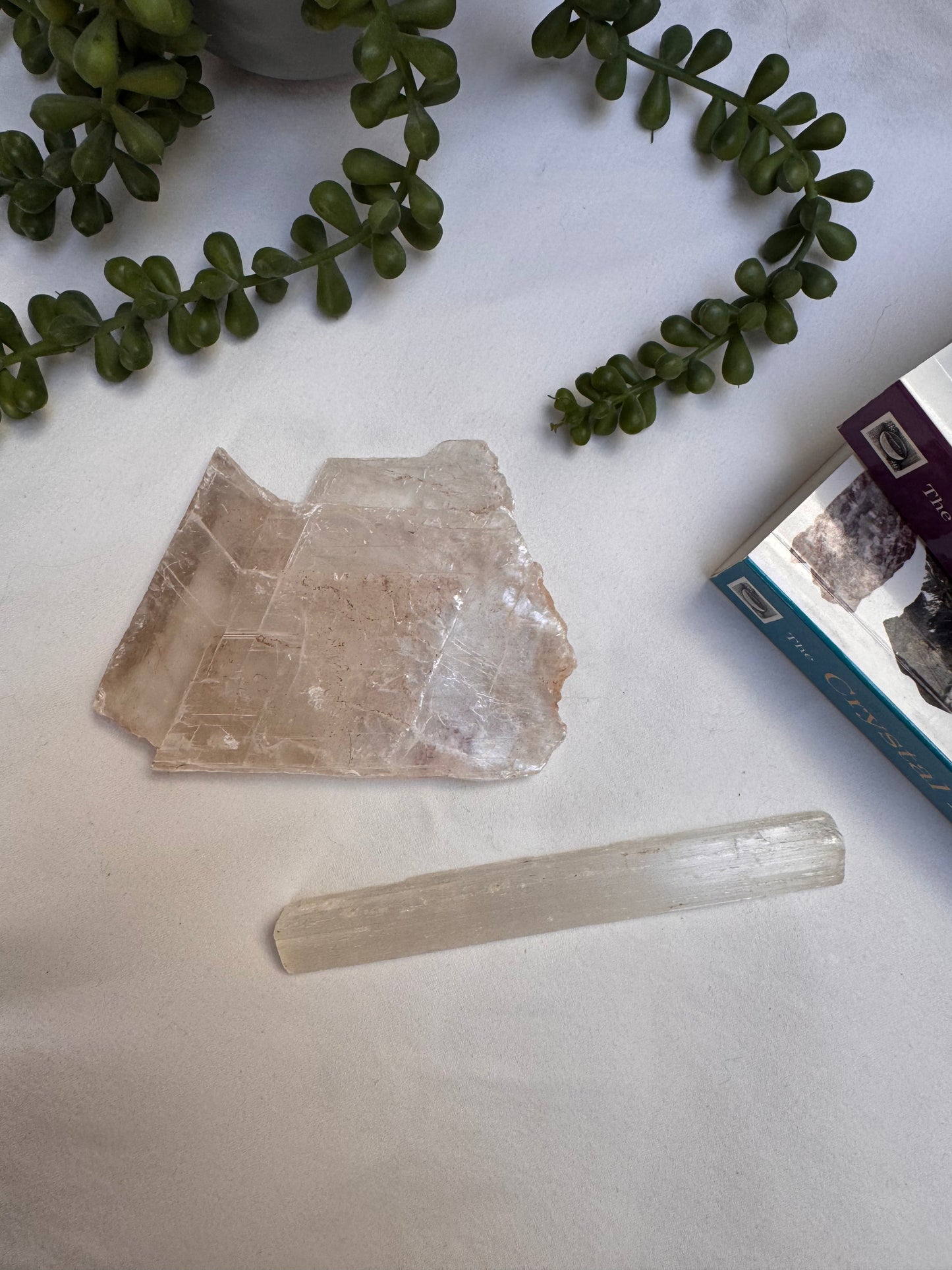 Raw Fishtail + Satin Spar Selenite | Rehomed