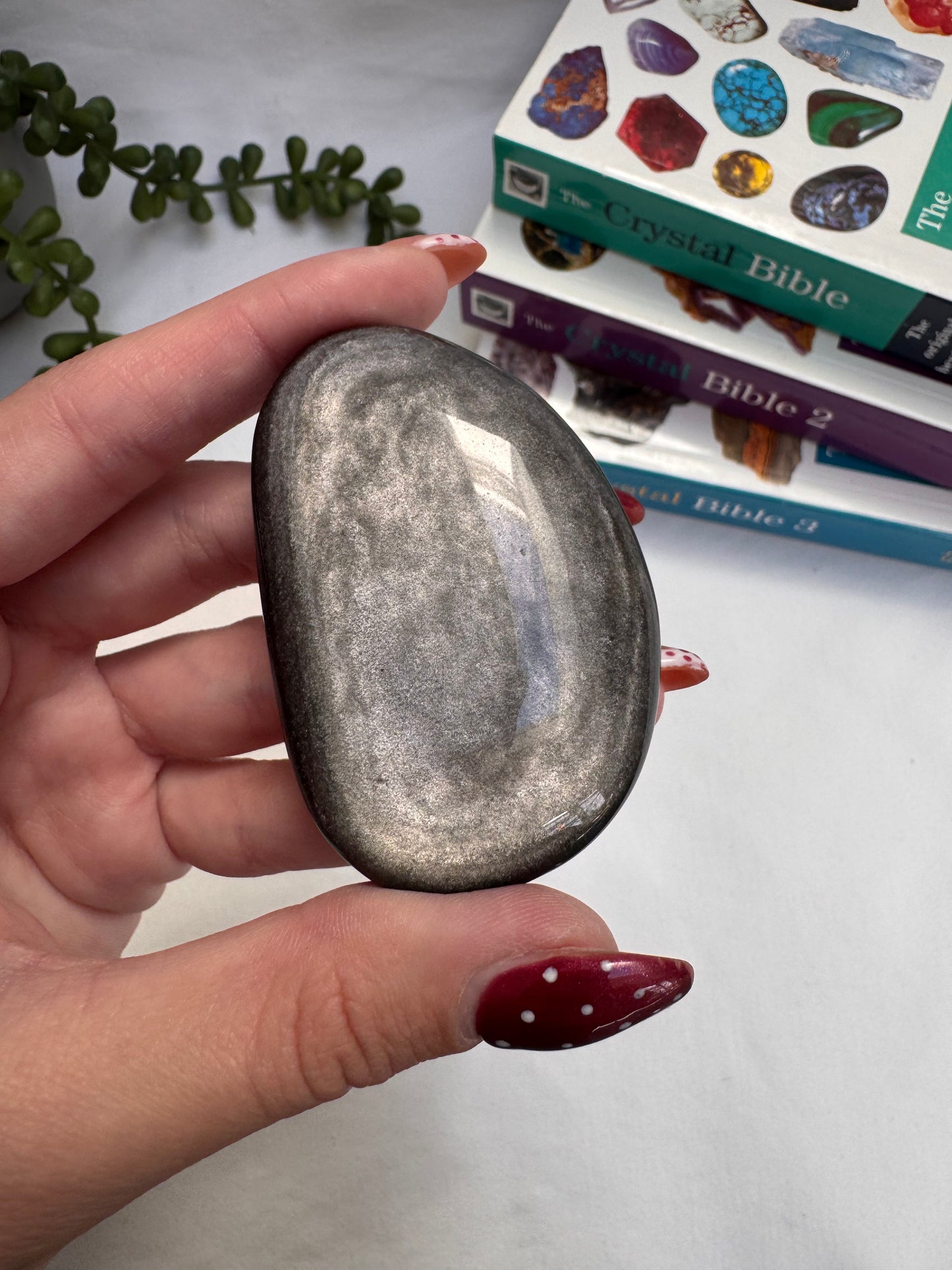 Silver Sheen Obsidian Palmstone | Rehomed