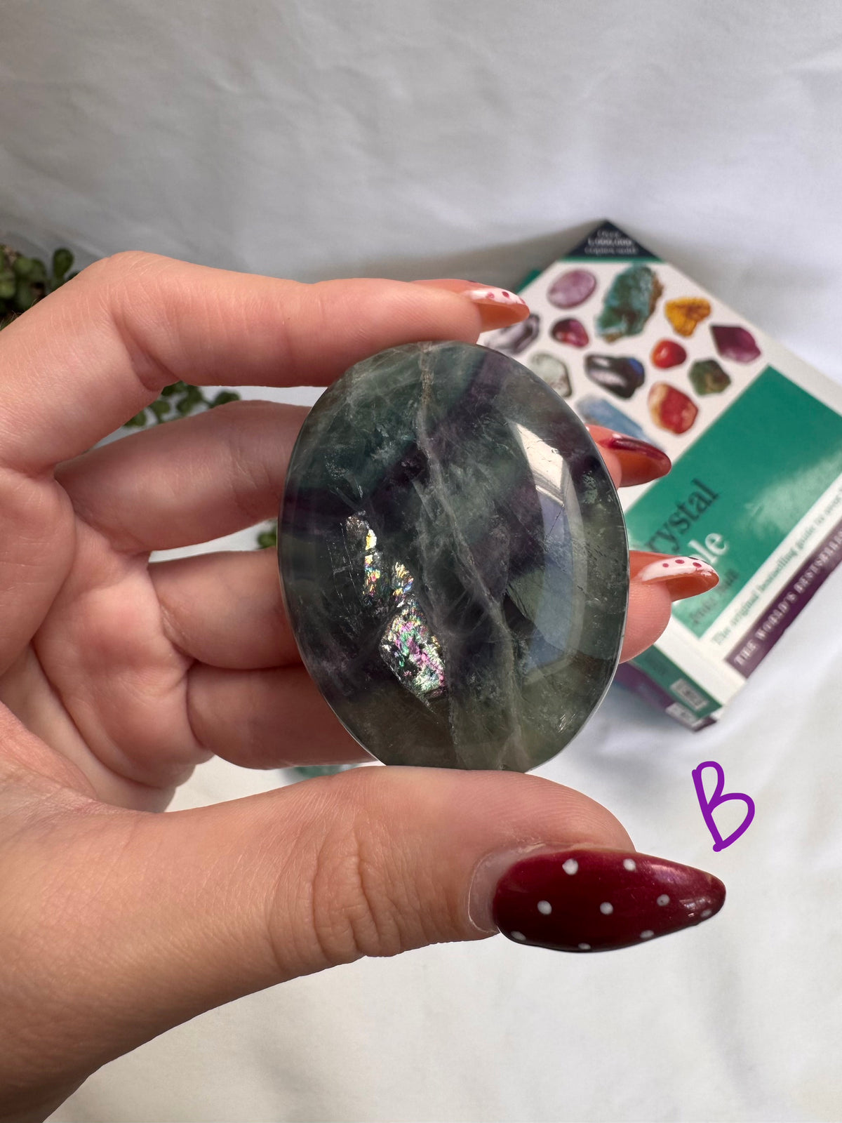 Rainbow Fluorite Palmstones