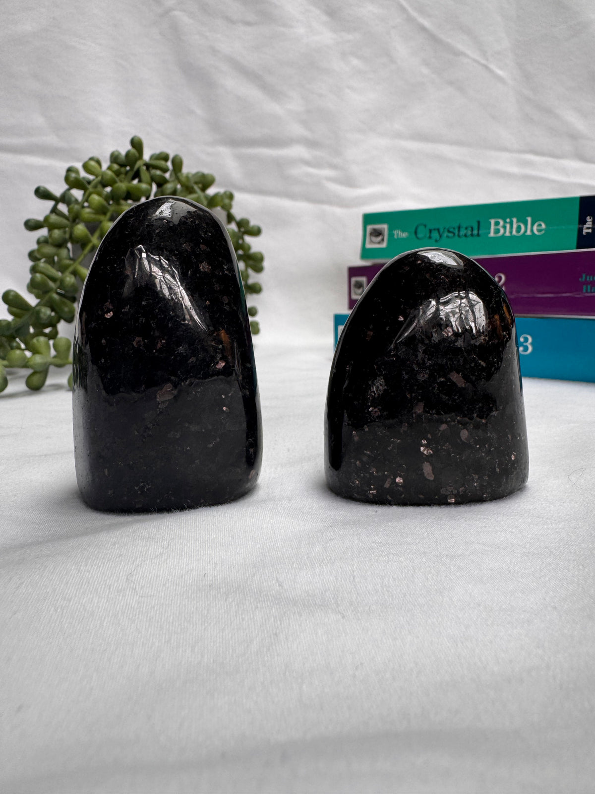 Nuummite Freeforms