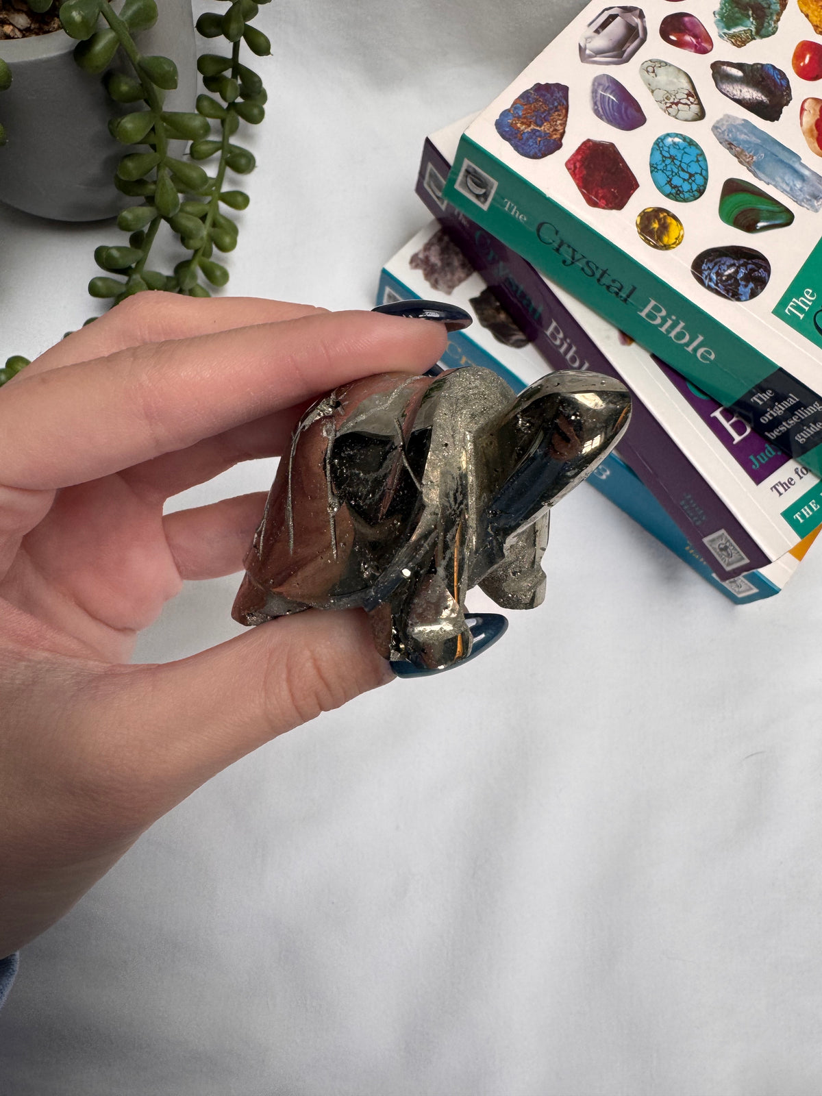 Pyrite Tortoise | Peruvian Pyrite