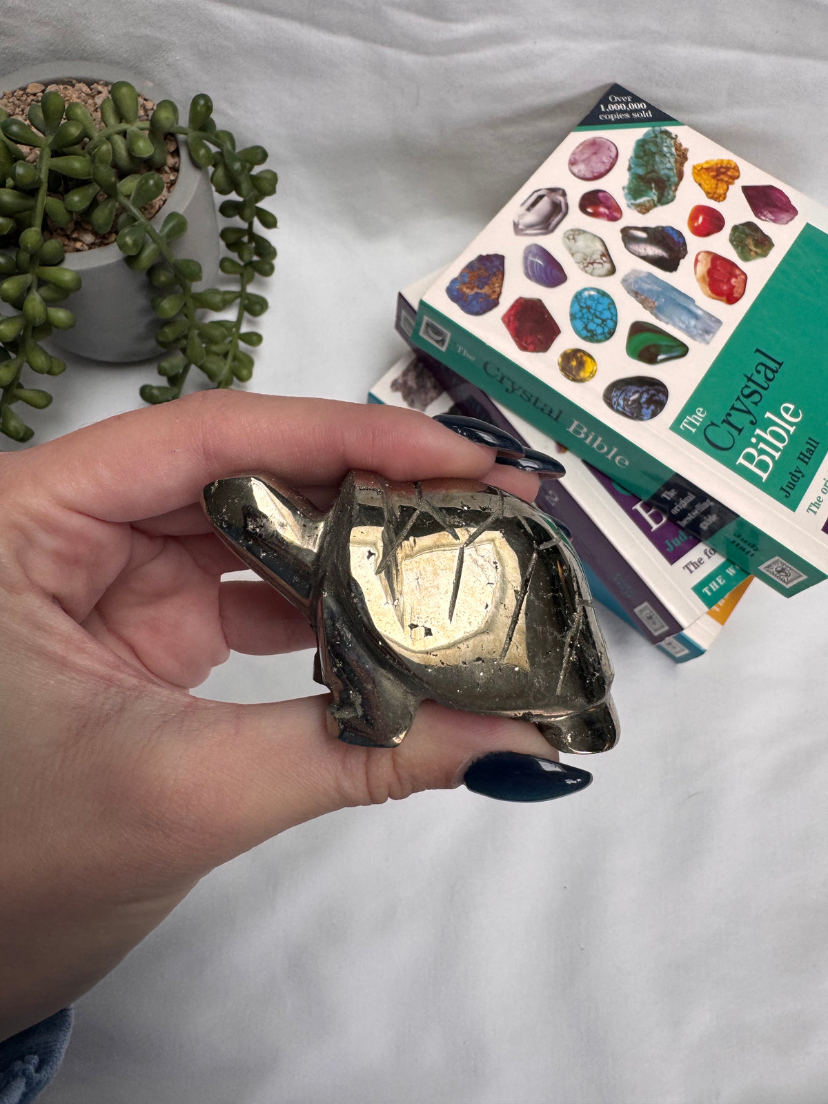 Pyrite Tortoise | Peruvian Pyrite