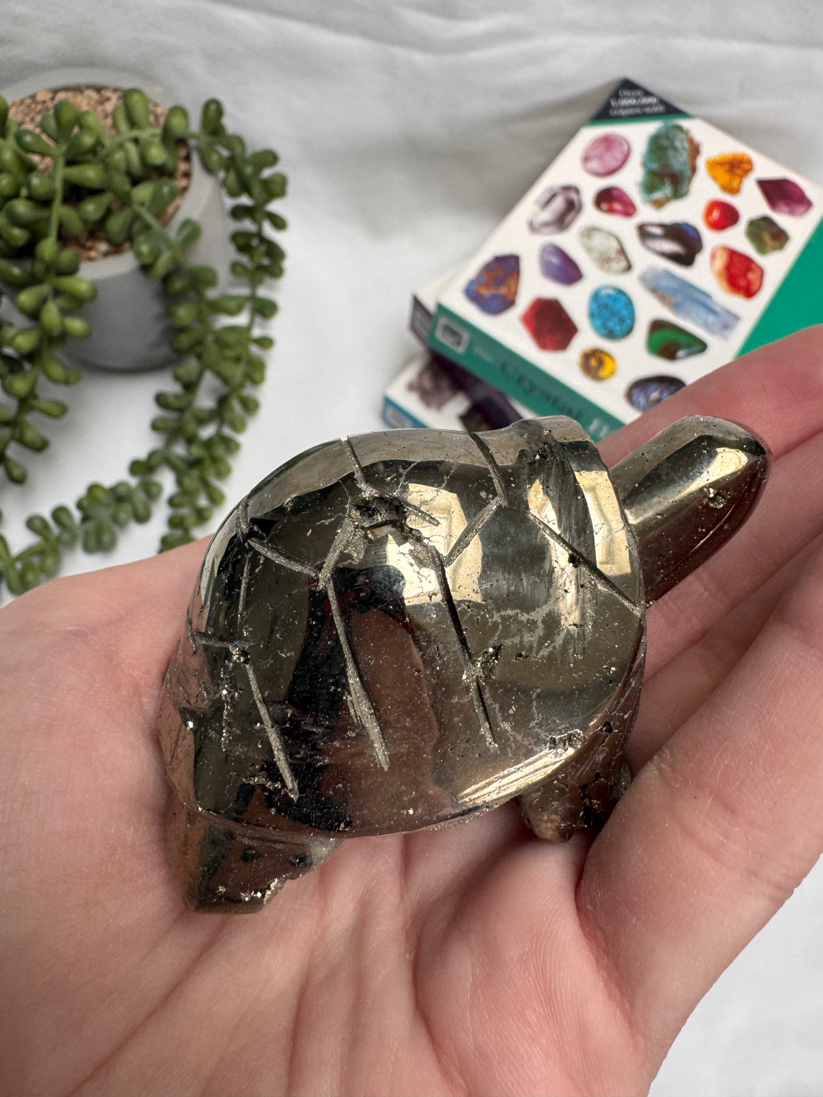 Pyrite Tortoise | Peruvian Pyrite