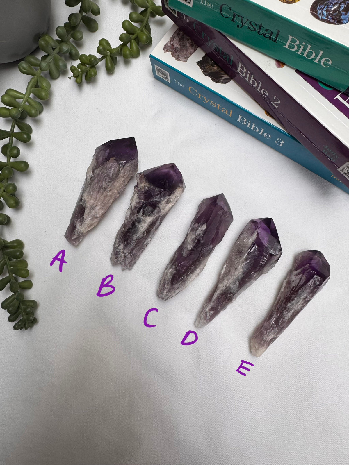 Amethyst Roots
