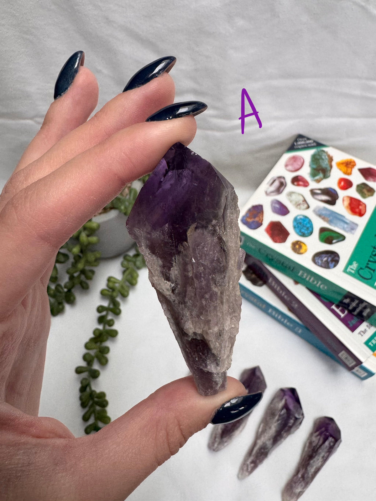 Amethyst Roots
