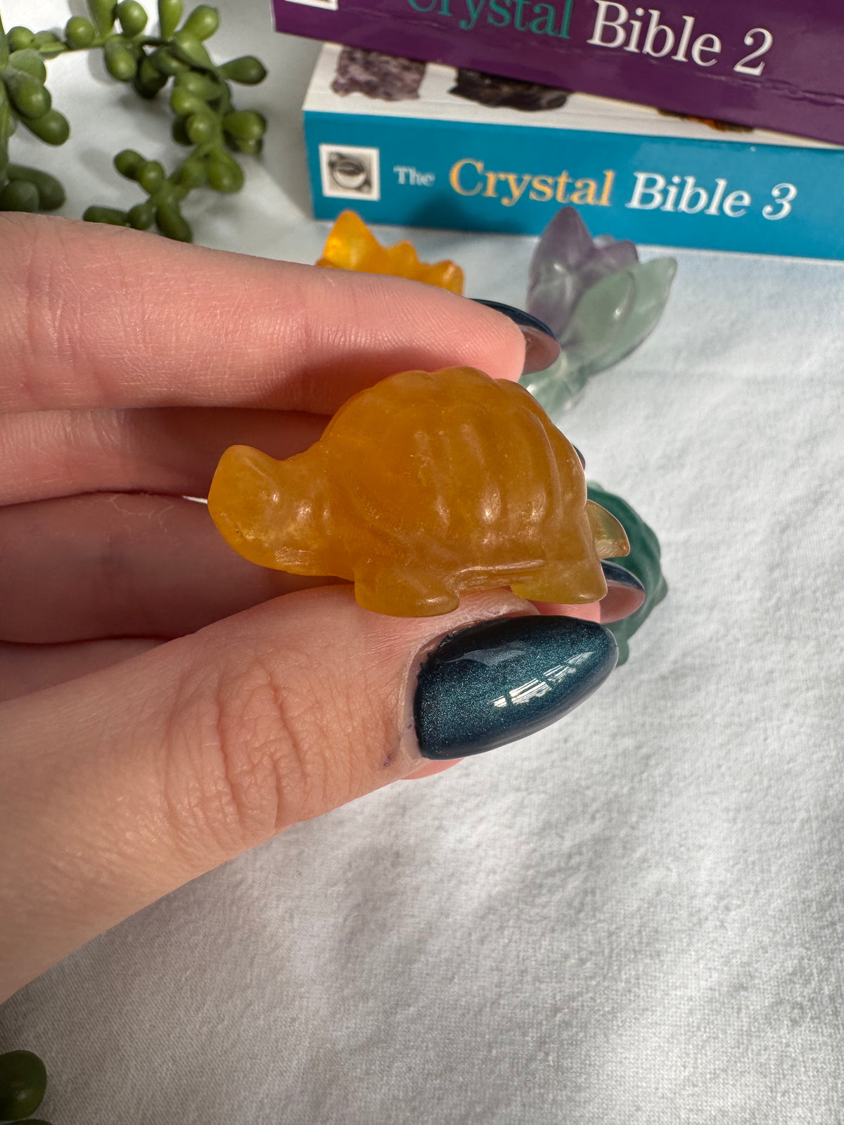 Fluorite Foxes + Turtles