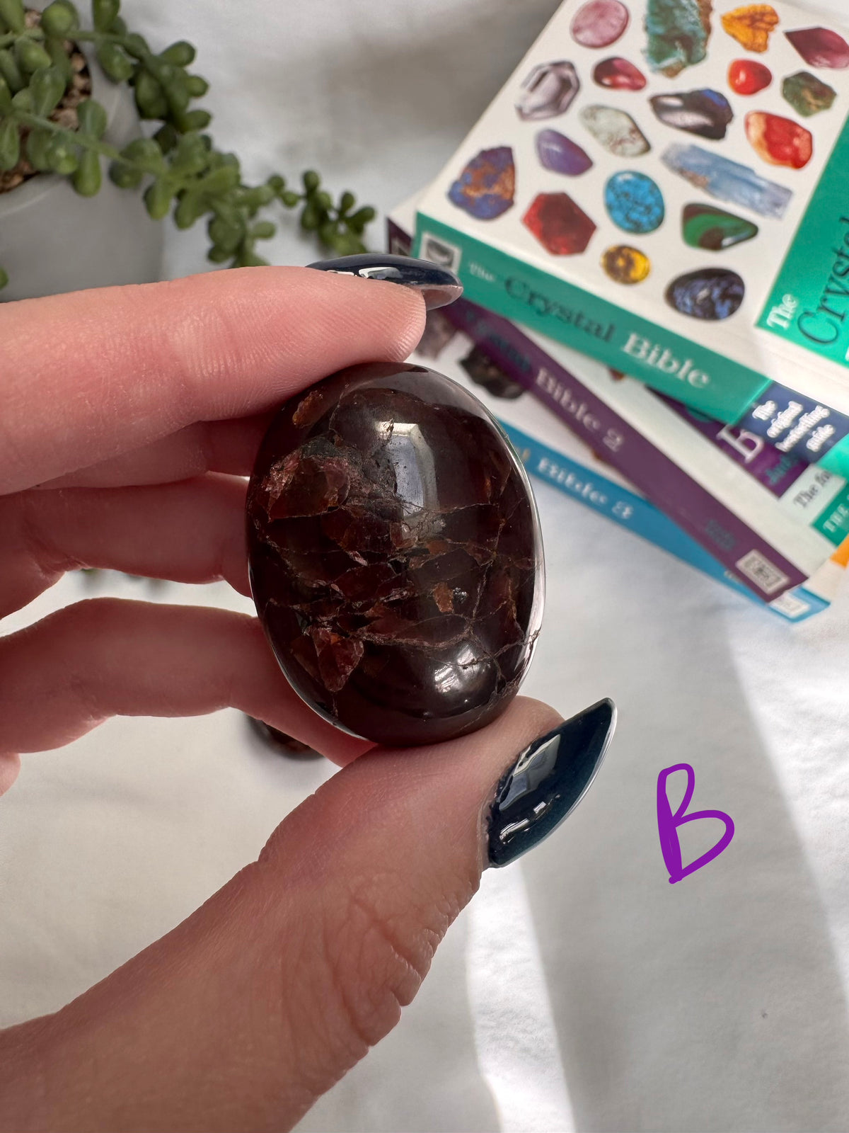 Star Garnets