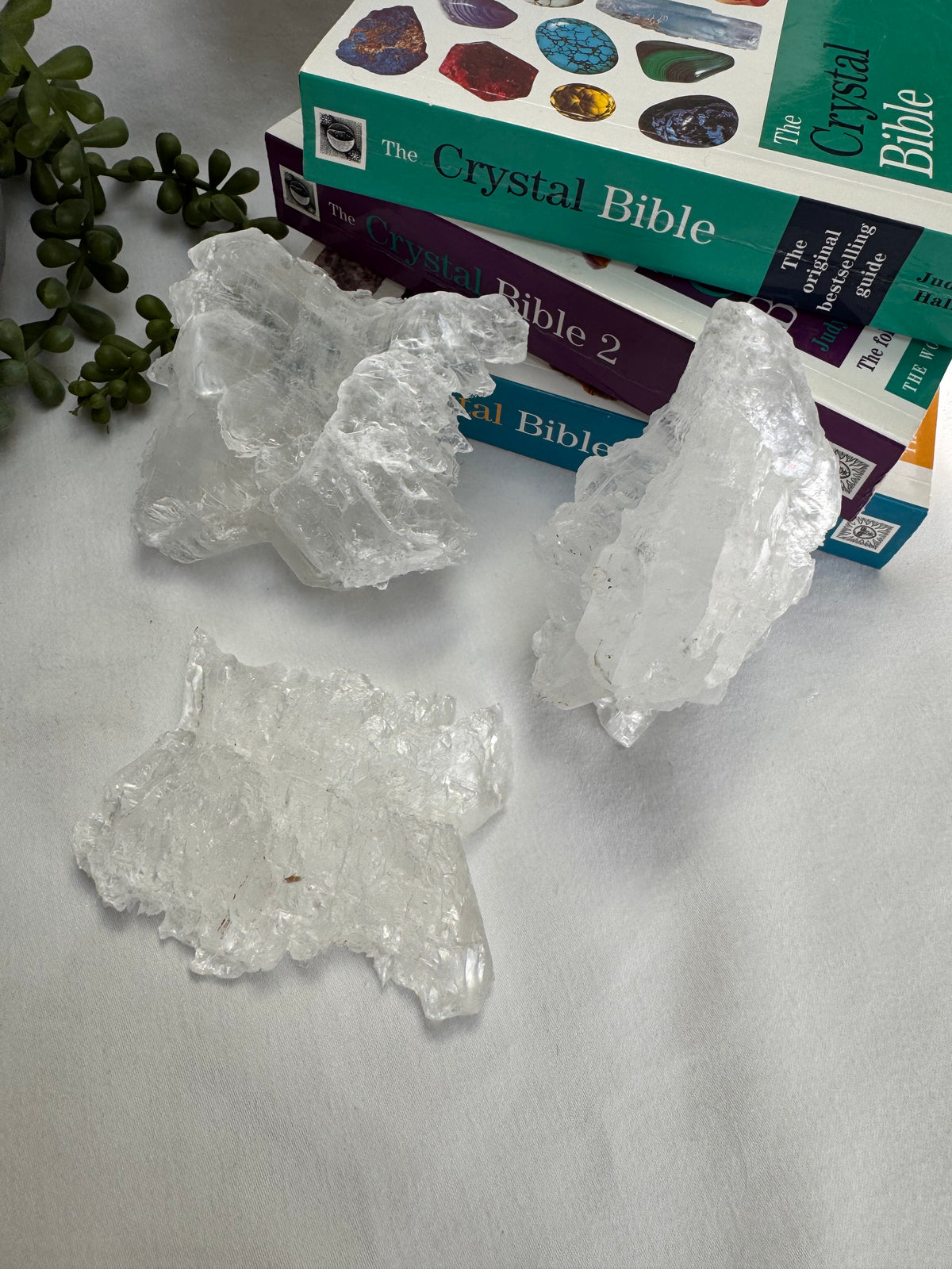 Fishtail Selenites