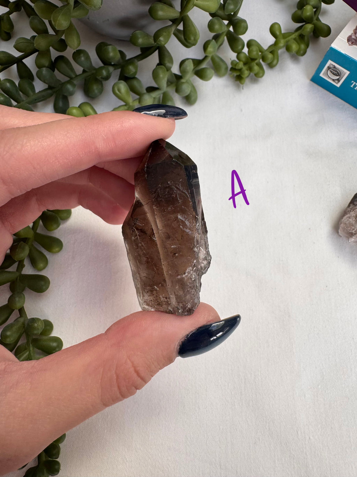 Smoky Quartz Mini Points