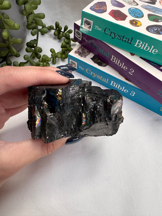 Raw Columbian Shungite | Statement Piece