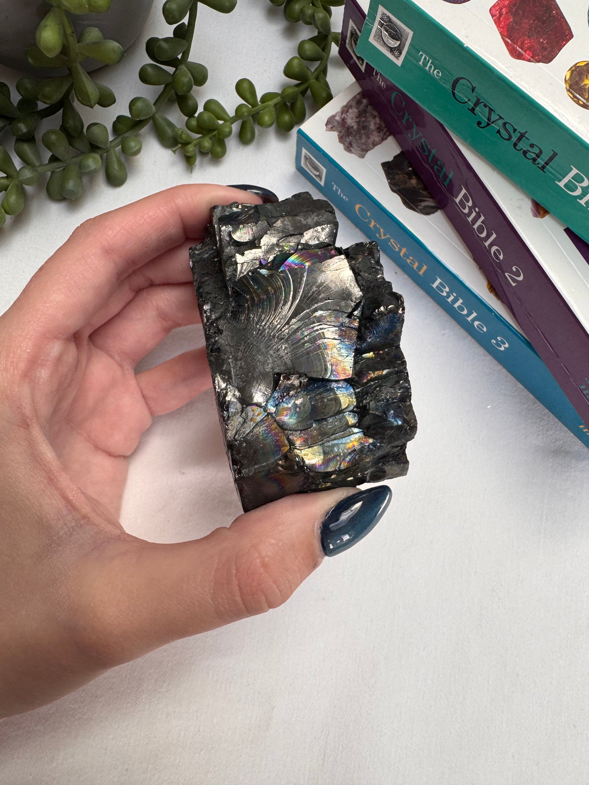 Raw Columbian Shungite | Statement Piece