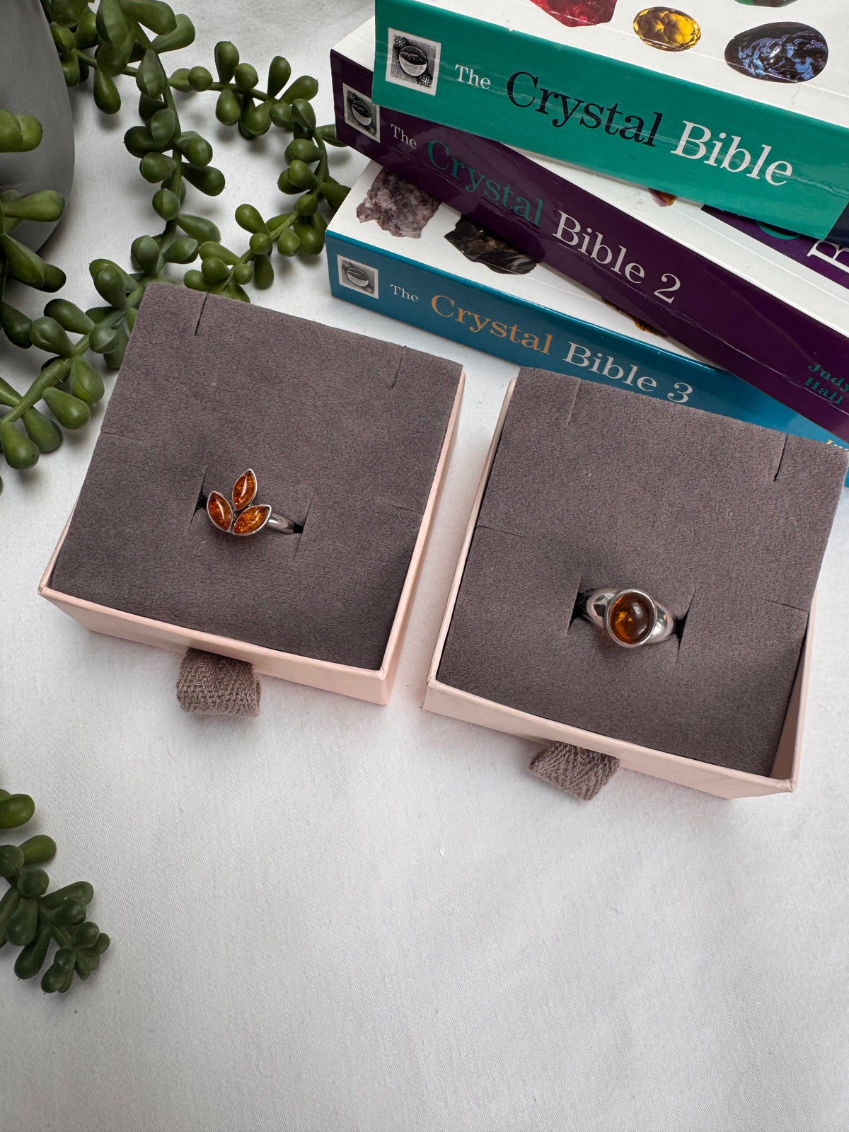 Amber Sterling Silver Rings | M1/2 + P1/2 | 6.5 + 7.75