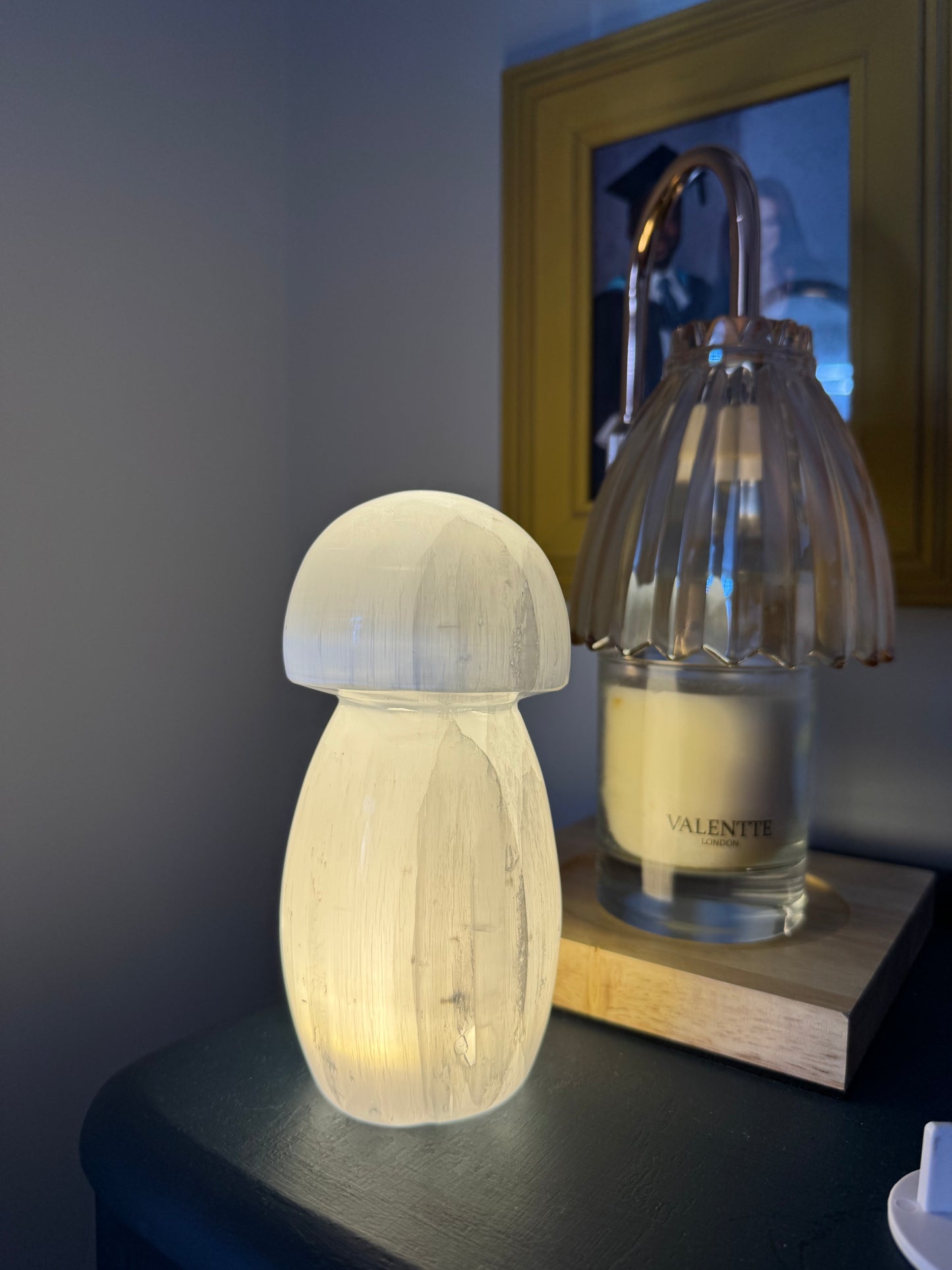 Selenite Mushroom Lamps