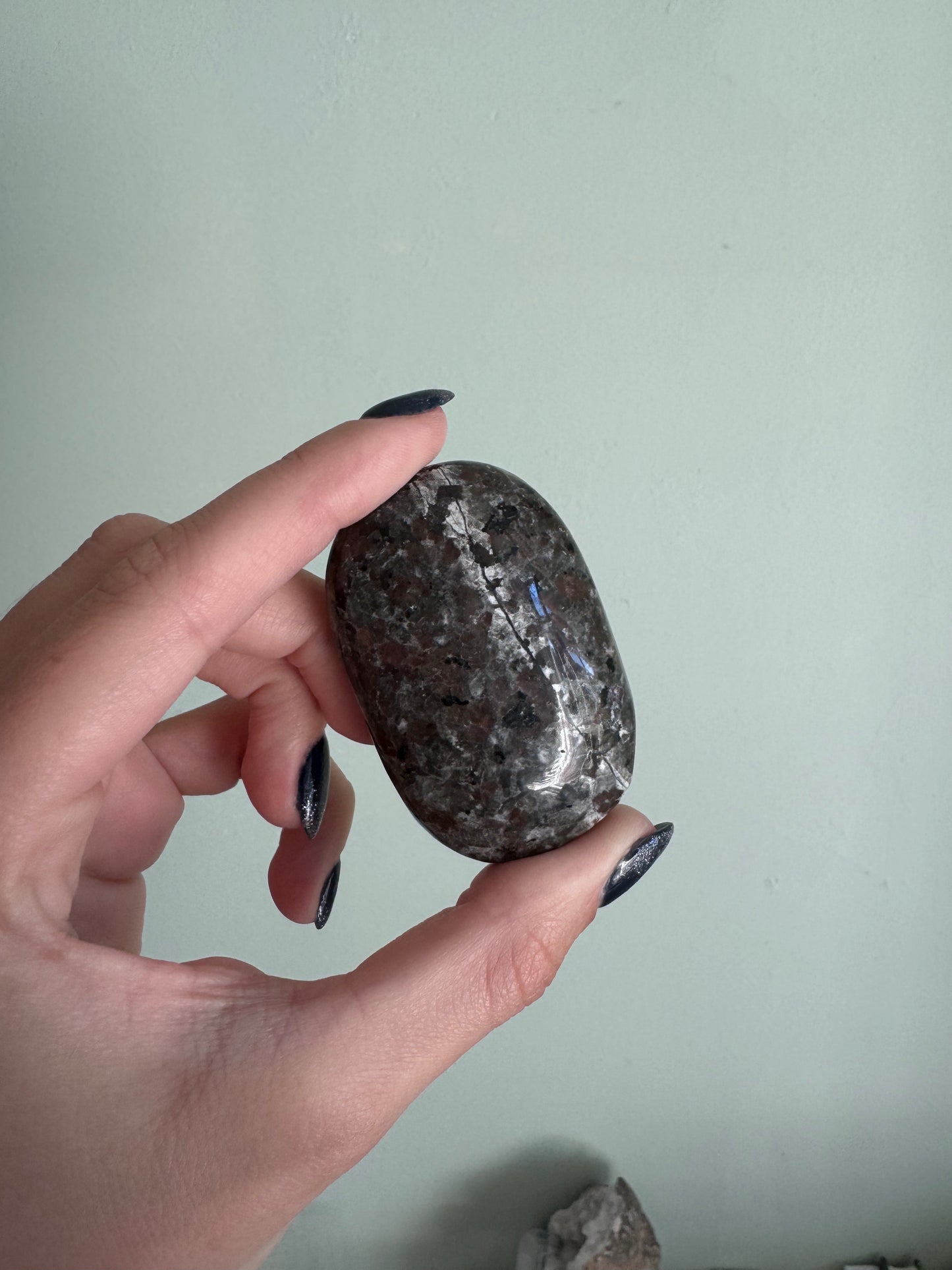 Rehomed Yooperlite Palmstone