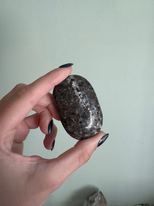 Rehomed Yooperlite Palmstone