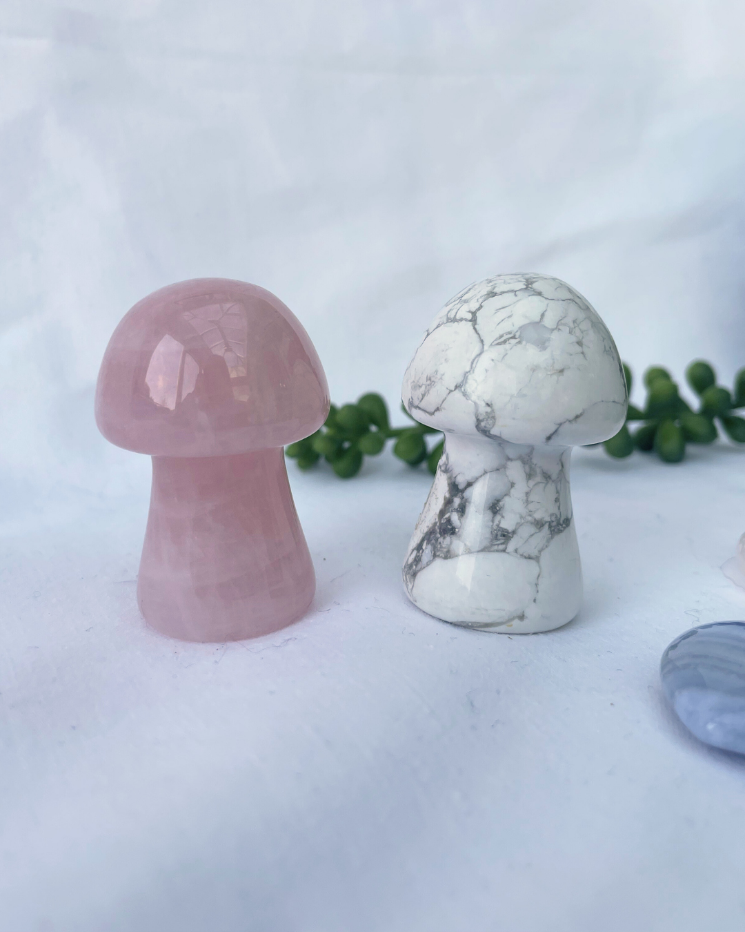 Large Mushrooms | Rose Quartz + Howlite