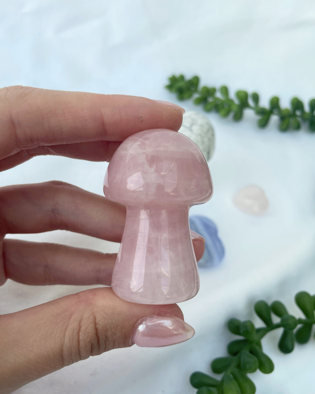 Large Mushrooms | Rose Quartz + Howlite