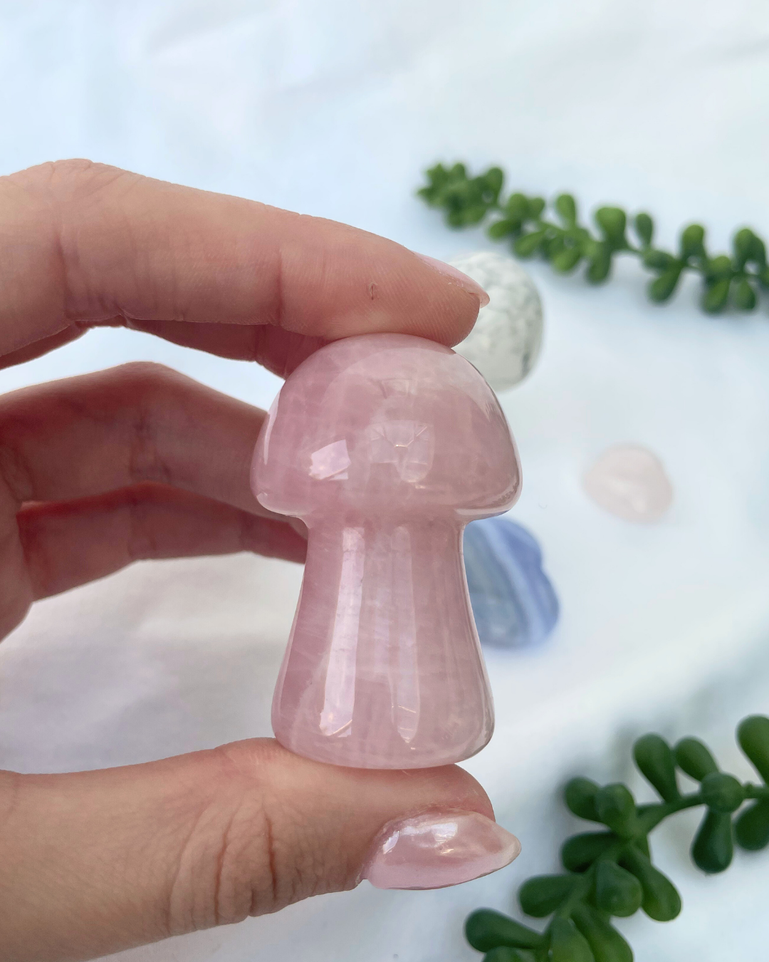 Large Mushrooms | Rose Quartz + Howlite