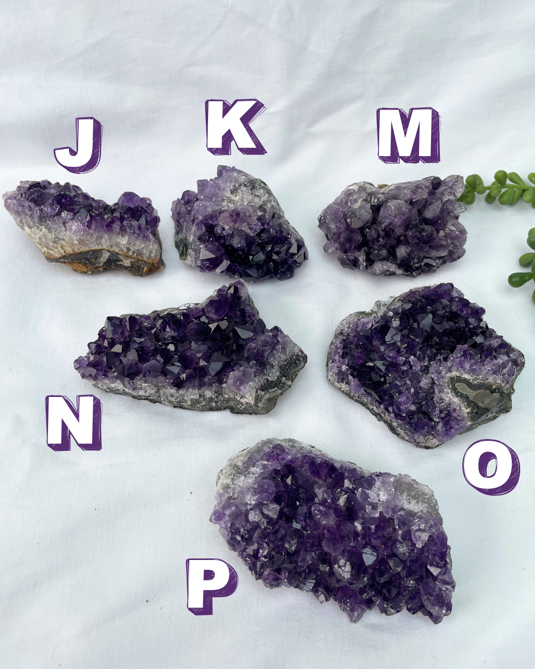 Large Amethyst Clusters | AA Grade | Uruguayan Amethyst