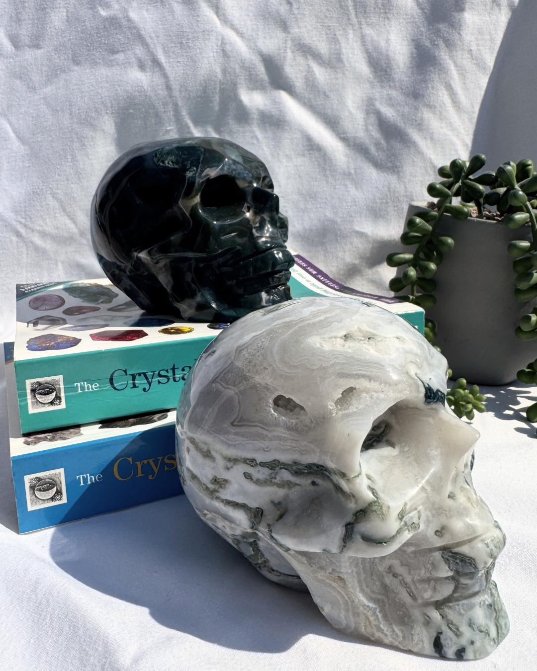 Moss Agate Large Skulls