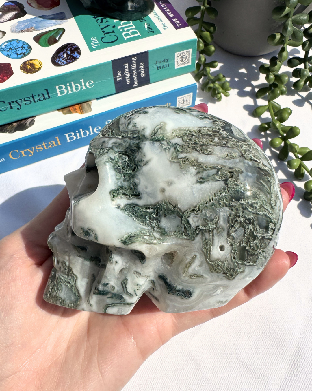 Moss Agate Large Skulls