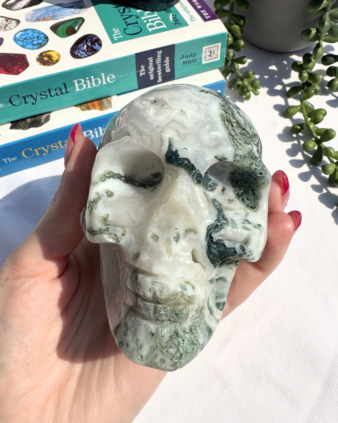 Moss Agate Large Skulls