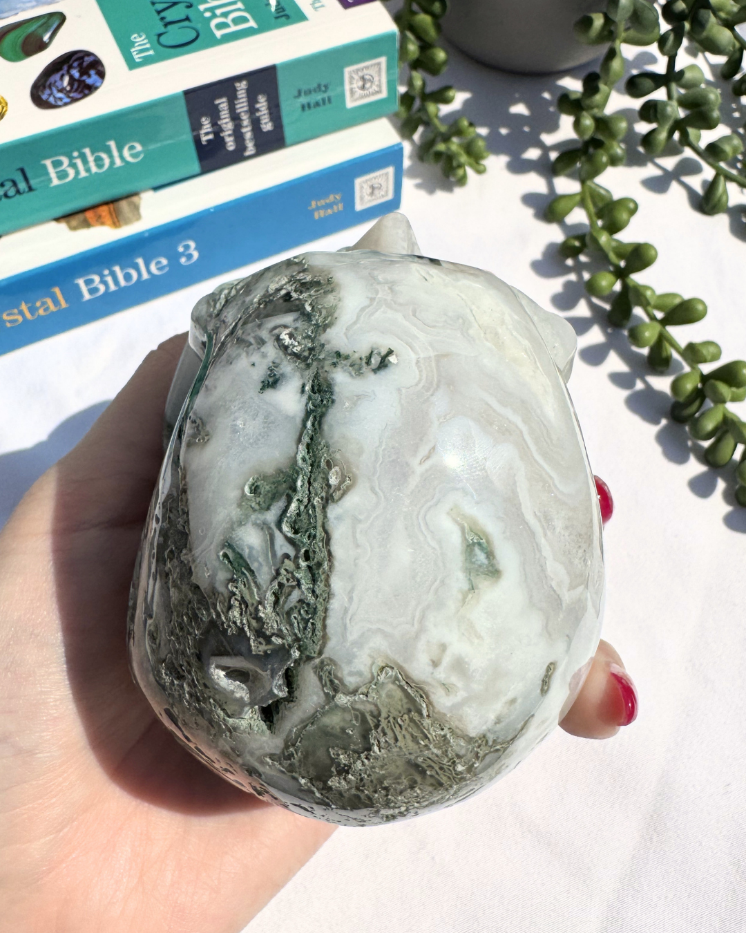 Moss Agate Large Skulls
