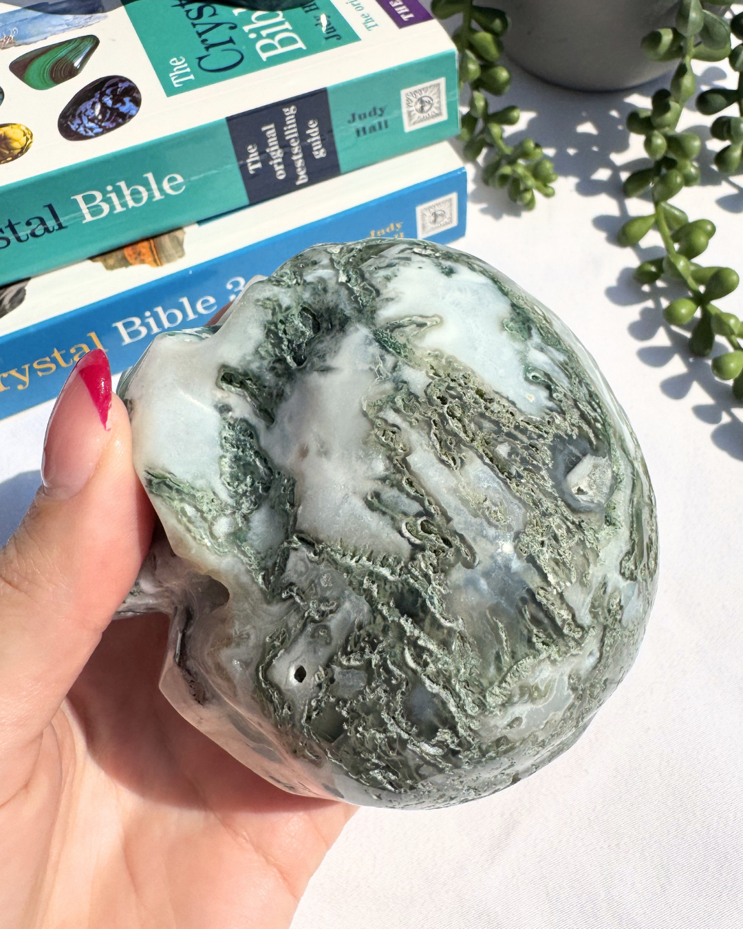 Moss Agate Large Skulls