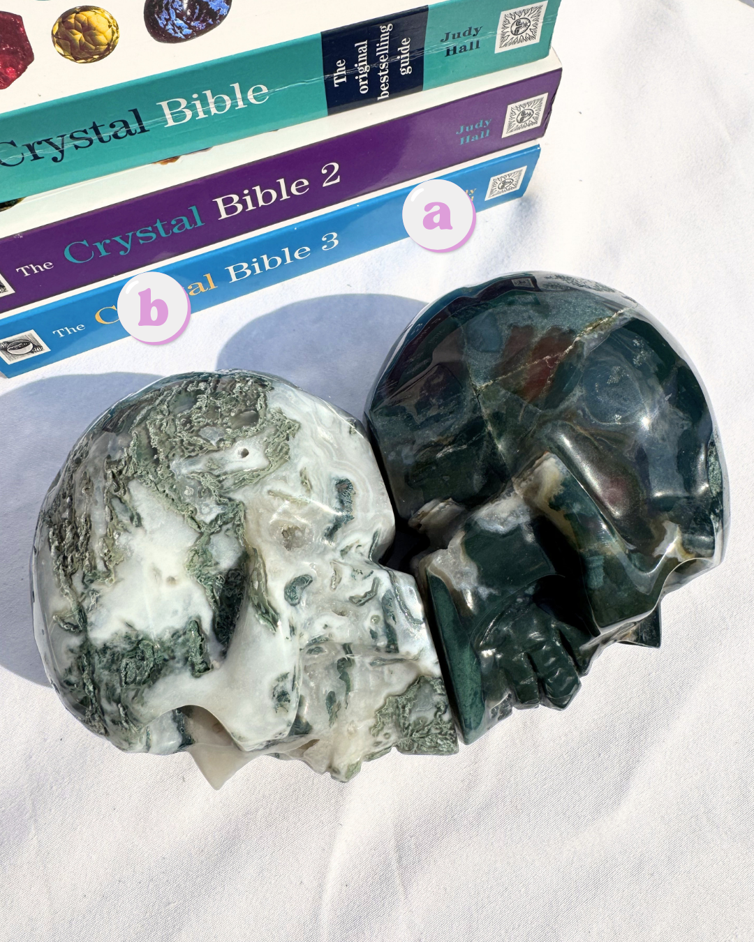 Moss Agate Large Skulls
