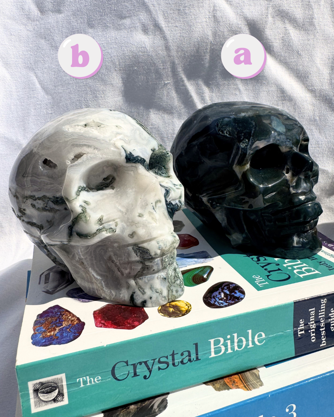 Moss Agate Large Skulls