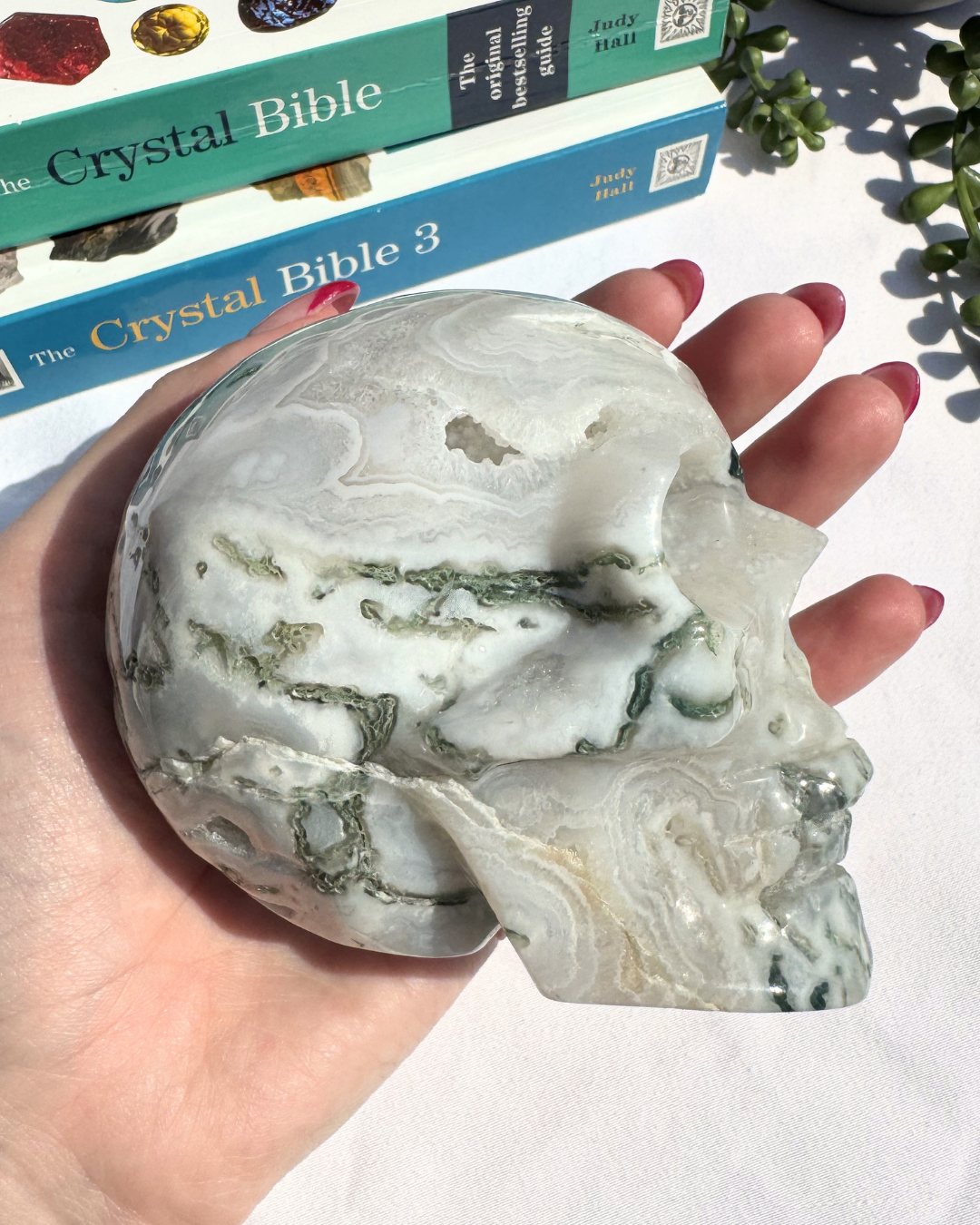 Moss Agate Large Skulls